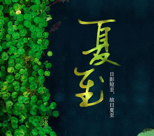 夏至丨葡叶密知夏深