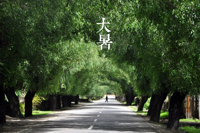 大暑丨葡园消烦暑，梦凉天地宽