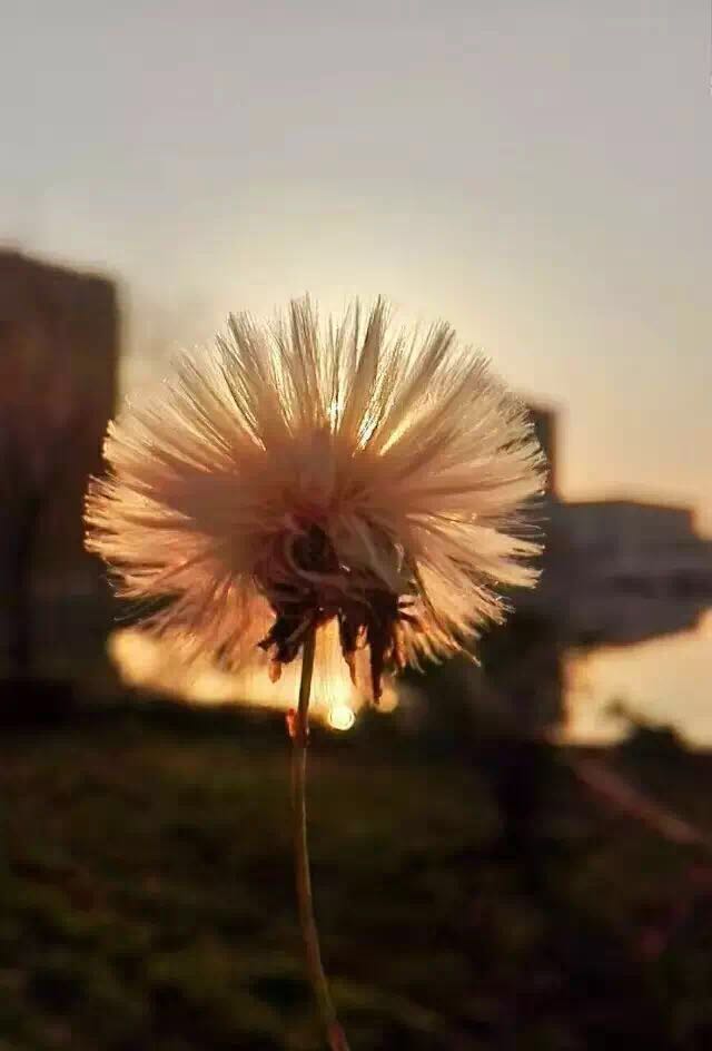 微信图片_20190717152828.jpg