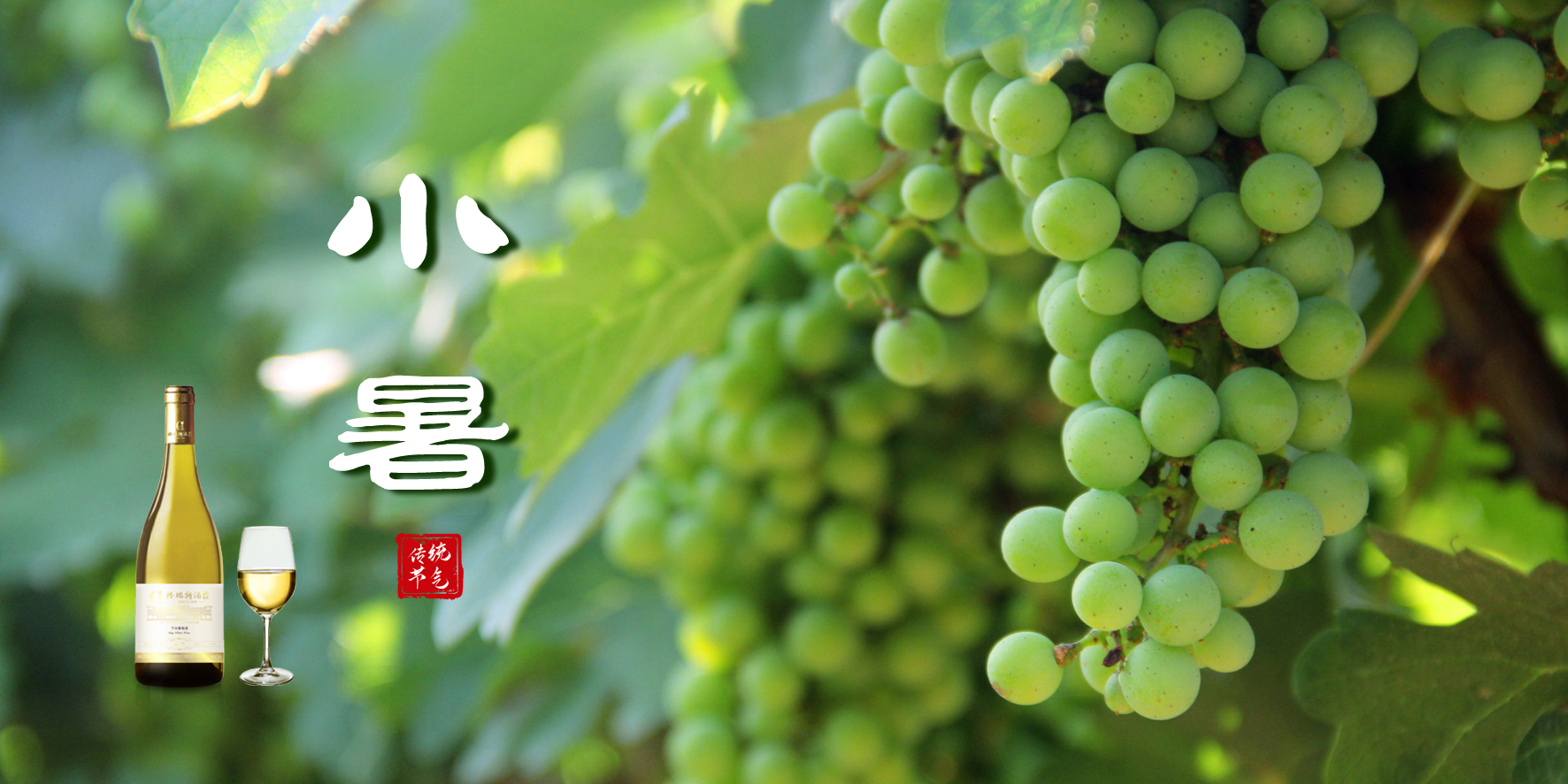 小暑，消暑，你选哪一个？