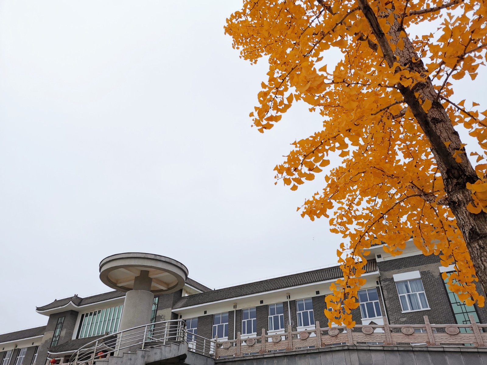 微信图片_20201029084741.jpg