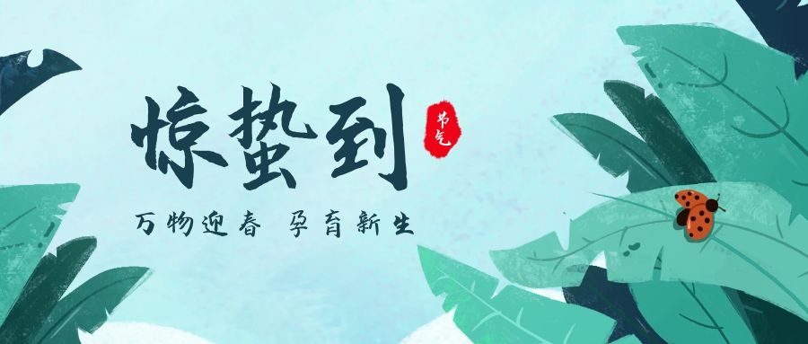 惊蛰 ▎一切美好都在悄然而至