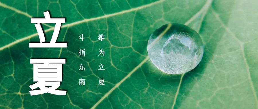 立夏 ▏绿荫浓，夏日长