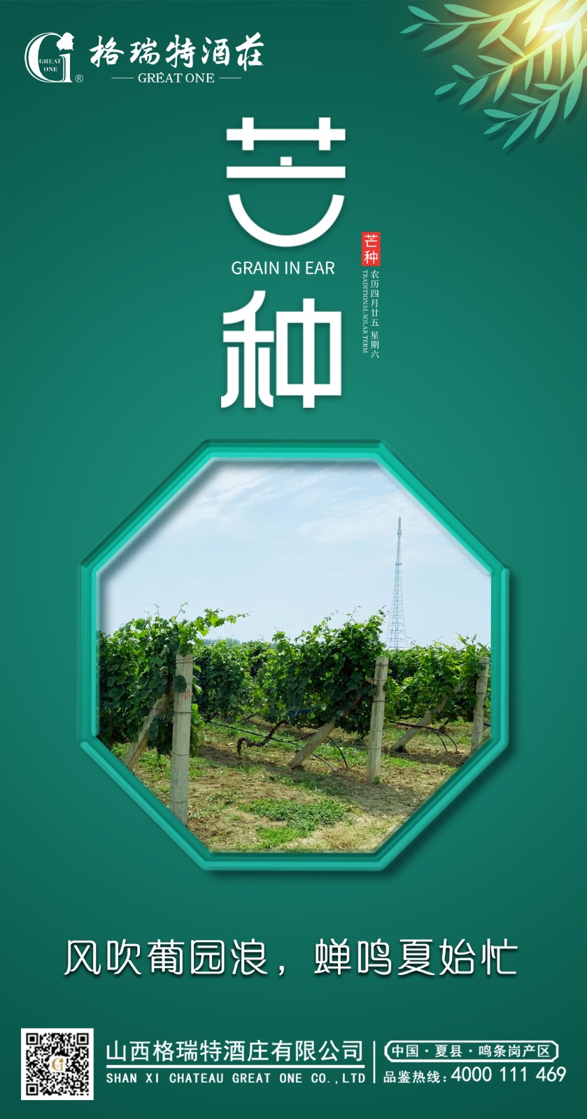 海报1 副本.jpg