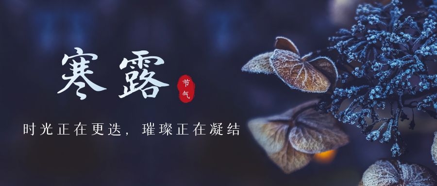 寒露 ▎时光更迭，璀璨正在凝结~