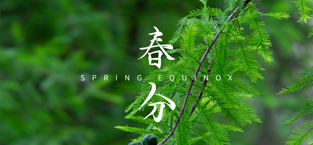 春分 ▎不负春光，万物生长