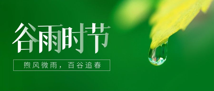 谷雨 ▎雨生百谷，锁住一抹春色
