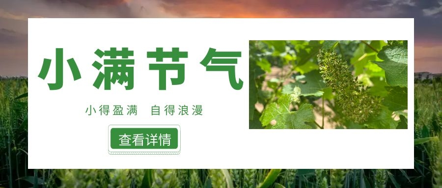 小满 ▎小得盈满，自得浪漫~