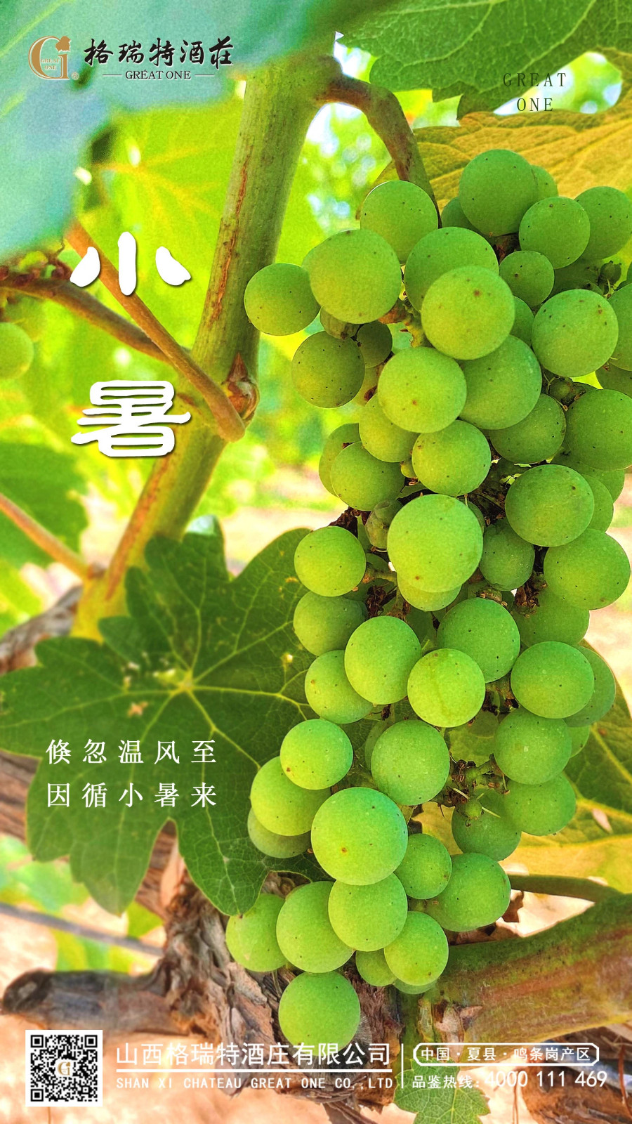 微信图片_20230728173927.jpg