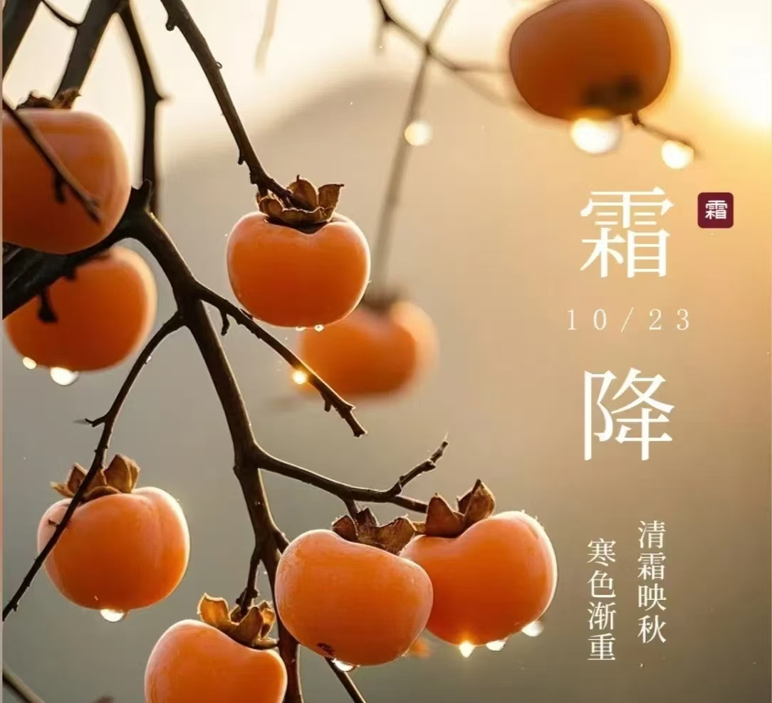 霜降||人间至此秋色尽，草木摇落露为霜