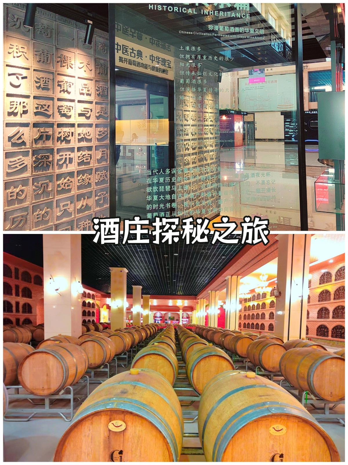酒庄探秘之旅.jpg